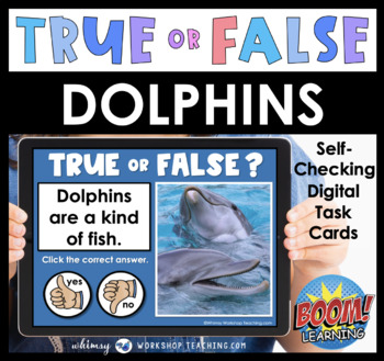 Dolphin Facts for Kids to Share in the Classroom