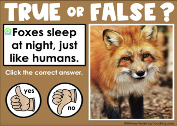 Fox Facts - Animal Facts Encyclopedia