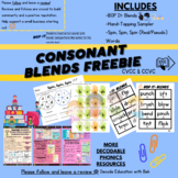 Consonant Blends Phonics Activities FREEBIE (Initial CCVC 