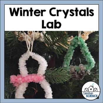 Preview of Borax Crystal Ornament Lab - Science Christmas Ornament - Solutions Activity