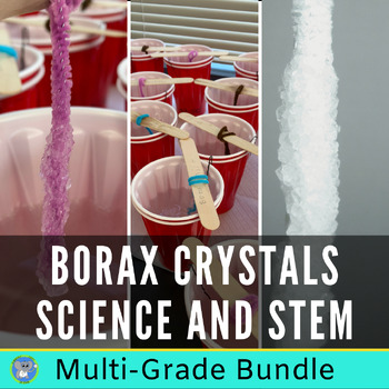 Preview of Borax Crystal STEAM Experiment | Multi Grade Bundle | Christmas Activity