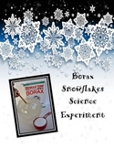 Borax Snowflake Experiment/ Holiday Science