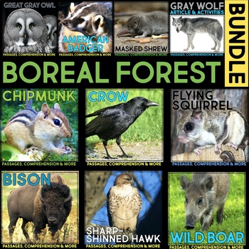 Boreal Forest Animals BUNDLE: Nonfiction Animal Research & Comprehension