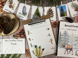 Boreal Forest Nature Study