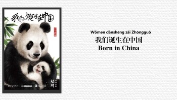Preview of Knowledge of giant pandas--Born in China