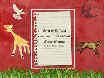 Preview of Born to Be Wild – Compare and Contrast Writing