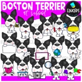 Boston Terrier At School Clip Art Set {Educlips Clipart}