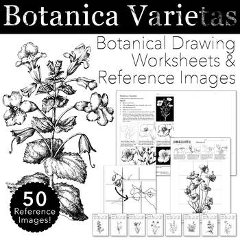 Preview of Botanica Varietas: Botanical Drawing Worksheets and 50 Reference Images