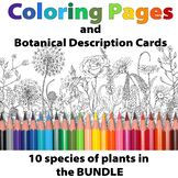 Botanical Coloring Pages/ BUNDLE