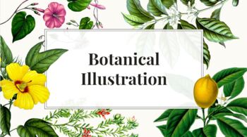 Botanical Illustration Slideshow by Artsy PostMod | TpT
