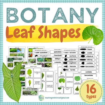 Preview of Botany- 16 Leaf Shapes with Descriptions, Picture Sorting Cards, Real Photos