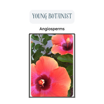 Preview of Botany Book 3 (supplement to Aplogia's Botany curriculum)