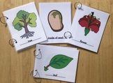 SET OF 4- Montessori Botany Coloring Booklets-Tree,Leaf,Fl