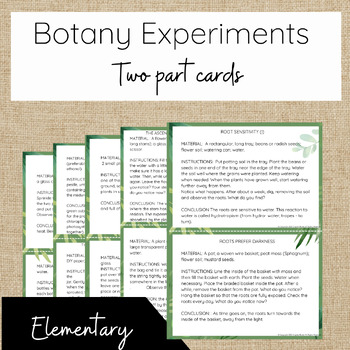 Preview of Botany Experiment Task Cards