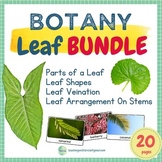 Botany - Leaf BUNDLE: Parts of a Leaf, 16 Shapes, Veinatio