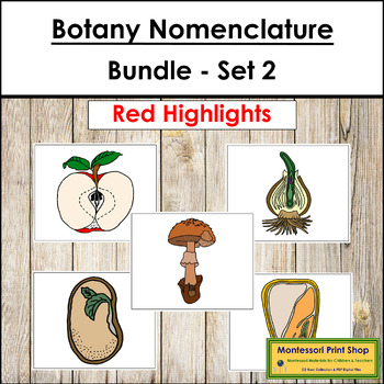 Preview of Botany Nomenclature Bundle (Red) Set #2 - Montessori