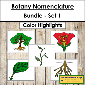 Preview of Botany Nomenclature Bundle (Set #1) - Montessori