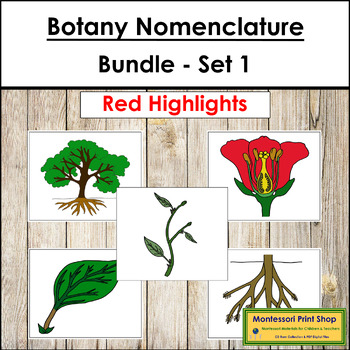 Preview of Botany Nomenclature Bundle (Red) Set #1 - Montessori