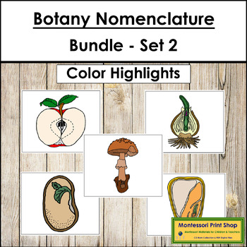 Preview of Botany Nomenclature Bundle (Set #2) - Montessori