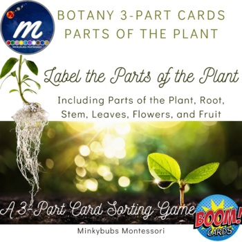Preview of Botany Parts of Plant Sorting Activity Cards Root Leaf Flower Fruit BOOM