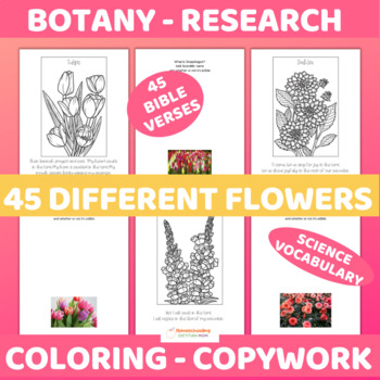 Preview of Botany Research Project and Coloring Pages