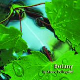 Botany-Teacher Manual, Class Notes, PPT's, Activities, Ass