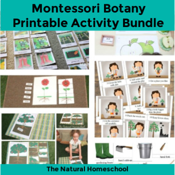 Preview of Botany for Kids Printable Bundle {Activities, Printables, Ideas, Resources}