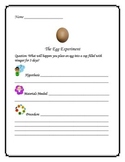 Bouncy Egg Experiment- Scientific Method
