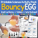 Bouncy Egg Science Experiment Activity Pack (Easter, Farm,