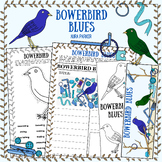 Bowerbird Blues Aura Parker, activities, teaching notes, N