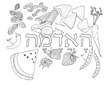 Preview of Brachos Coloring Sheets - HaAdamah (Hebrew Version) - Bracha Activity (Haadama)
