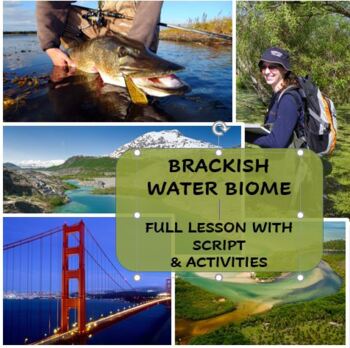 Preview of Brackish Water Biome Lesson Bundle (Presentation and Activities)
