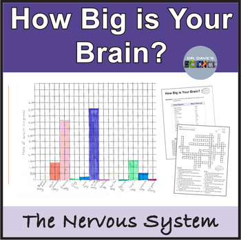Preview of Nervous System Activity Brain Size Graph Middle School Human Body Systems