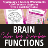 Brain Function Color By Number + Glossary Activities for P