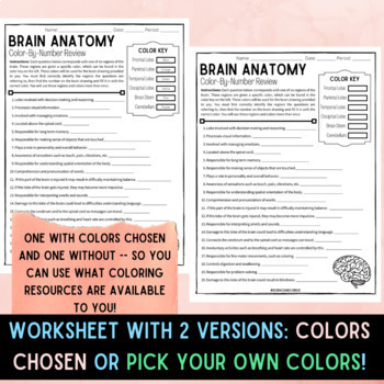 Brain Key Anatomy 