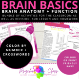 Brain Anatomy and Function Revision Activities Bundle