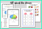 Brain Anatomy and Healthy brain foods Activity sheet