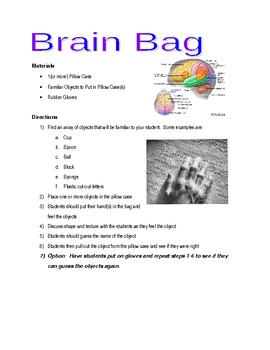 Preview of Brain Bag - Individual 5 Senses Lab