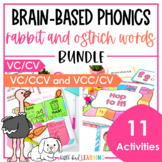 Rabbit Words and Ostrich Words Syllable Division Activitie