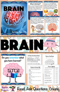 Brain, Bones, and Muscles Bundle by Spatial Projects | TpT