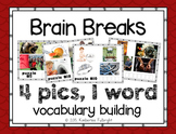 Brain Break 4 Pics, One Word