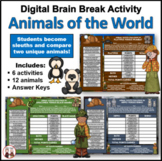 Brain Break Digital Activity | Animal Sleuth