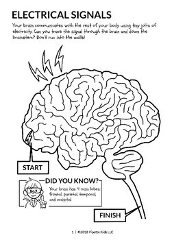 Preview of Brain Coloring Maze Worksheet (Pipette Kids Science Coloring Book)