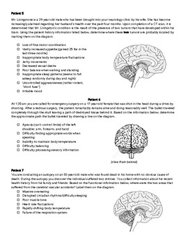 of brain damage case study