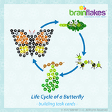Brain Flakes® STEM Butterfly Life Cycle Task Cards