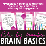 Brain Anatomy Color By Number + Glossary Activities for Ps