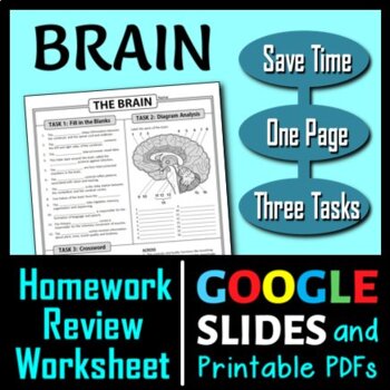 Brain Homework Review Worksheet / Test Prep | Print & Google Slides Options