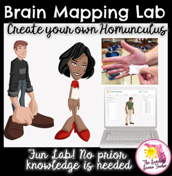 Preview of Brain Mapping Lab: Create Your Own Homunculus