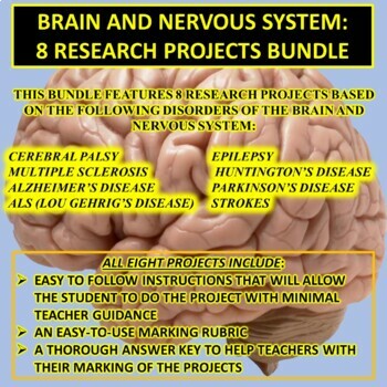 Preview of Brain & Nervous System Disorders 8-Research Project Bundle (Anatomy/Physiology)