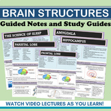 Brain Parts Guided Video Notes